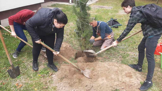 UČENICI SADILI BOROVE