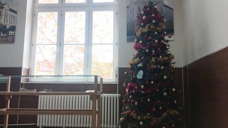 JELKA I DŽINS GENERACIJA