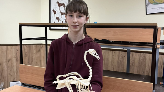 AZ ELMÉLET KÉZZELFOGHATÓVÁ VÁLIK!